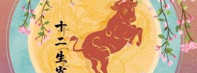 生肖鸡2024年8月4日，心思敏捷不会逃避退缩